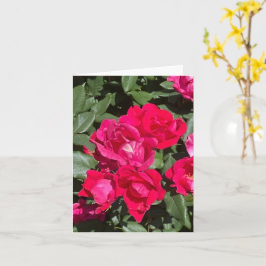 Rote Blume und grüne Blätter Karte (Gelbe Blume)