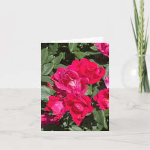 Rote Blume und grüne Blätter Karte