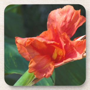 Rote Blume Untersetzer