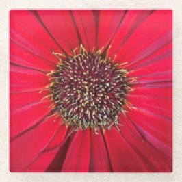 Rote Blume Untersetzer