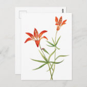 Rote Blume - Vintage Botanische Kunst Postkarte (Vorne/Hinten)