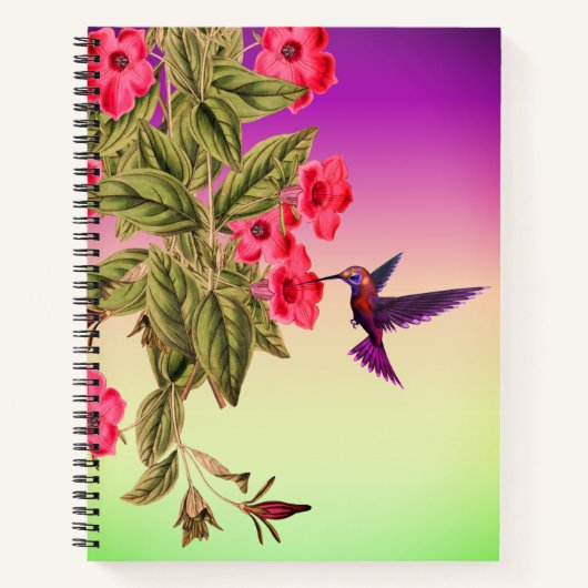 Rote Blume von Hummingvogel Hintergrund Notizblock (Vorderseite)