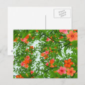 Rote Blumen auf Grün Postkarte (Vorne/Hinten)