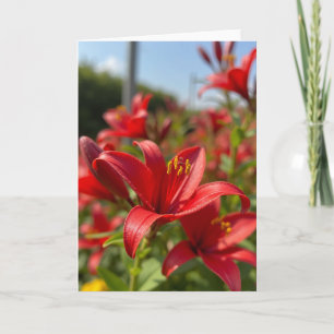 Rote Blumen Muttertags-Postkarte Karte
