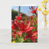 Rote Blumen Muttertags-Postkarte Karte (Gelbe Blume)