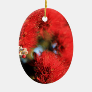 Rote Blumen Pohutukawa-Baum Keramikornament