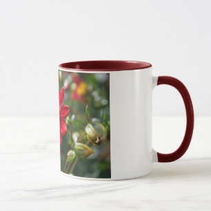 Rote Blumen Tasse