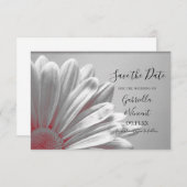 Rote Blumenmarken Hochzeiten speichern das Datum Save The Date (Vorne/Hinten)