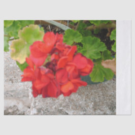 rote Blumenseidenpapier Seidenpapier