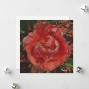 rote Blüte Feiertagskarte