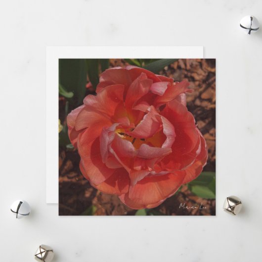 rote Blüte Feiertagskarte (Vorderseite/Rückseite Beispiel)