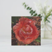 rote Blüte Feiertagskarte (Stehend Vorderseite)