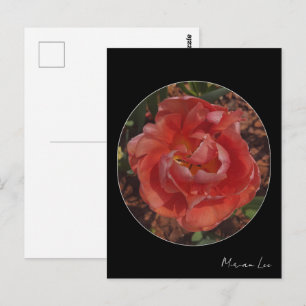 rote Blüte Postkarte