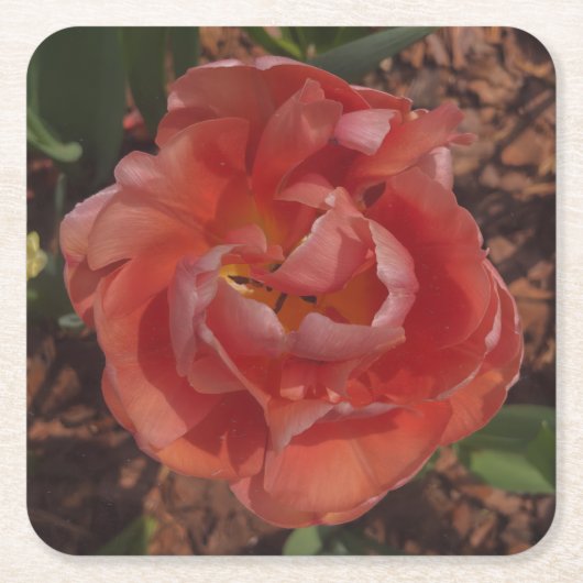 rote Blüte Rechteckiger Pappuntersetzer (Vorderseite)