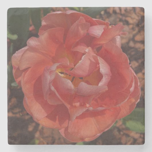 rote Blüte  Steinuntersetzer (Vorderseite)