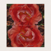 rote Blüte Visitenkarten (Außenseite Aufgefaltet)