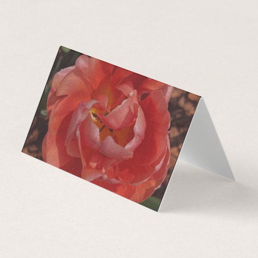 rote Blüte Visitenkarten (Vorderseite)