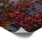 Rote Blüten 1 Poster (Ecke)