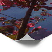 Rote Blüten 2 Poster (Ecke)