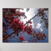 Rote Blüten 2 Poster (Vorne)