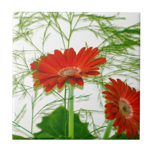 Rote Blüten Fliese (Vorderseite)