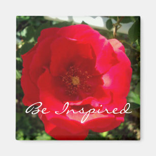 Rote Blüten-Inspiration Magnet