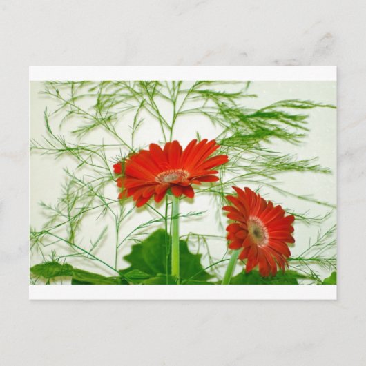 Rote Blüten Postkarte (Vorderseite)