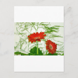 Rote Blüten Postkarte