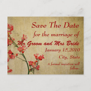 Rote Blüten retten den Tag Postkarte