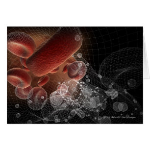 Rote Blutkörperchen im wireframe