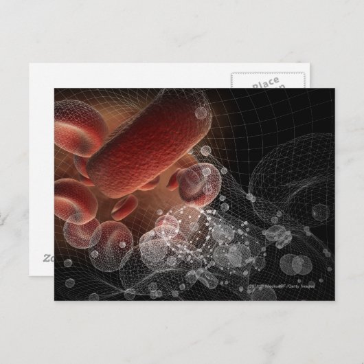 Rote Blutkörperchen in Wireframe Postkarte (Vorne/Hinten)