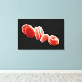 Rote Blutkörperchen Leinwanddruck (Insitu (Holzboden))