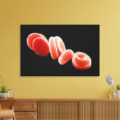 Rote Blutkörperchen Leinwanddruck (Insitu (Wohnzimmer))