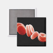 Rote Blutkörperchen Magnet (Vorderseite/Rückseite)