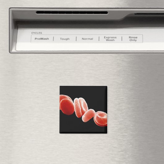 Rote Blutkörperchen Magnet (In Situ (Geschirrspüler))