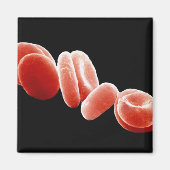 Rote Blutkörperchen Magnet (Vorne)