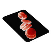 Rote Blutkörperchen Magnet (Rechte Seite)