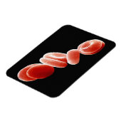 Rote Blutkörperchen Magnet (Linke Seite)
