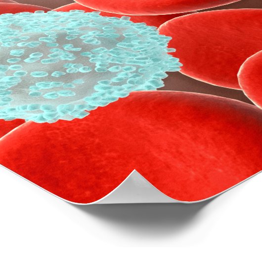 rote Blutkörperchen mit weißen Blutkörperchen Poster (Ecke)