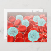 rote Blutkörperchen mit weißen Blutkörperchen Postkarte (Vorne/Hinten)