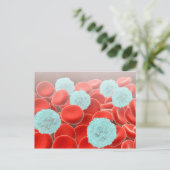 rote Blutkörperchen mit weißen Blutkörperchen Postkarte (Stehend Vorderseite)