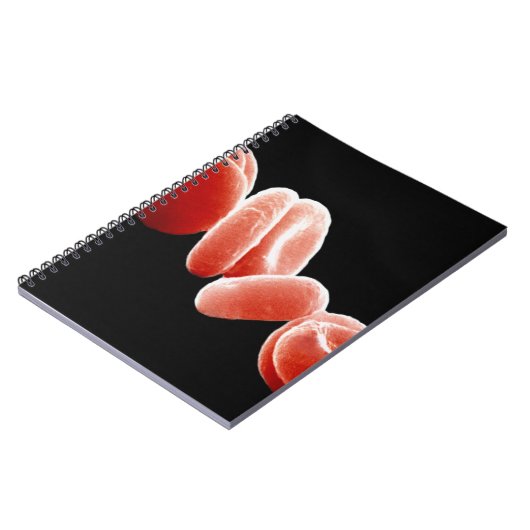 Rote Blutkörperchen Notizblock (Linke Seite)