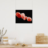 Rote Blutkörperchen Poster (Küche)