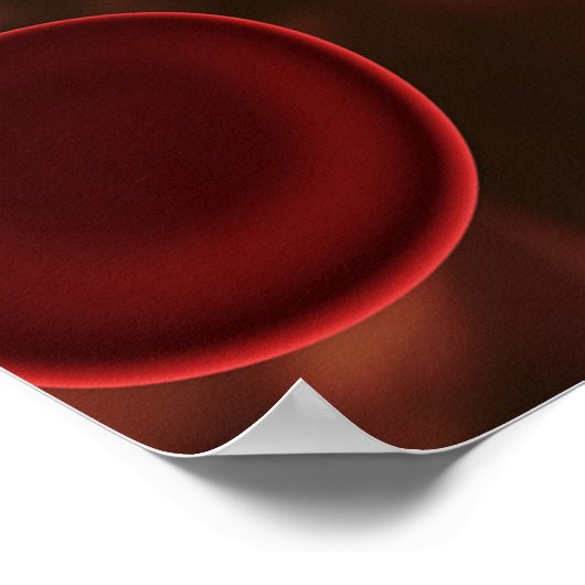 Rote Blutkörperchen Poster (Ecke)