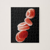 Rote Blutkörperchen Puzzle (Vertikal)
