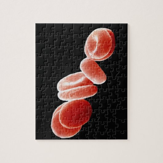 Rote Blutkörperchen Puzzle (Vertikal)