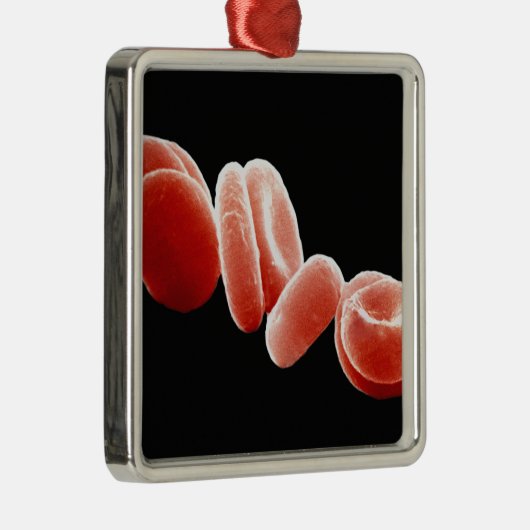 Rote Blutkörperchen Silbernes Ornament (Rechts)