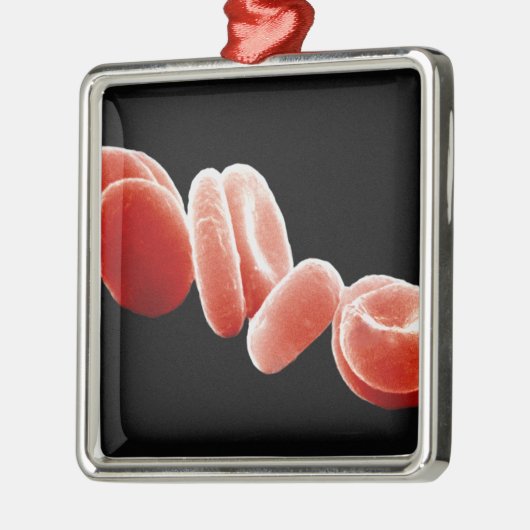 Rote Blutkörperchen Silbernes Ornament (Links)