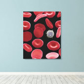 Rote Blutkörperchen und eine weiße Blutzelle Leinwanddruck (Insitu (Holzboden))