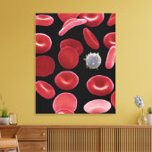 Rote Blutkörperchen und eine weiße Blutzelle Leinwanddruck (Insitu (Wohnzimmer))
